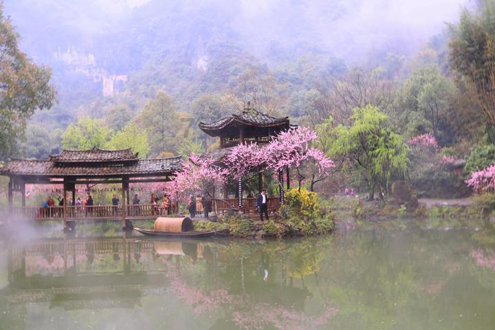 全民剧本大师内置菜单
